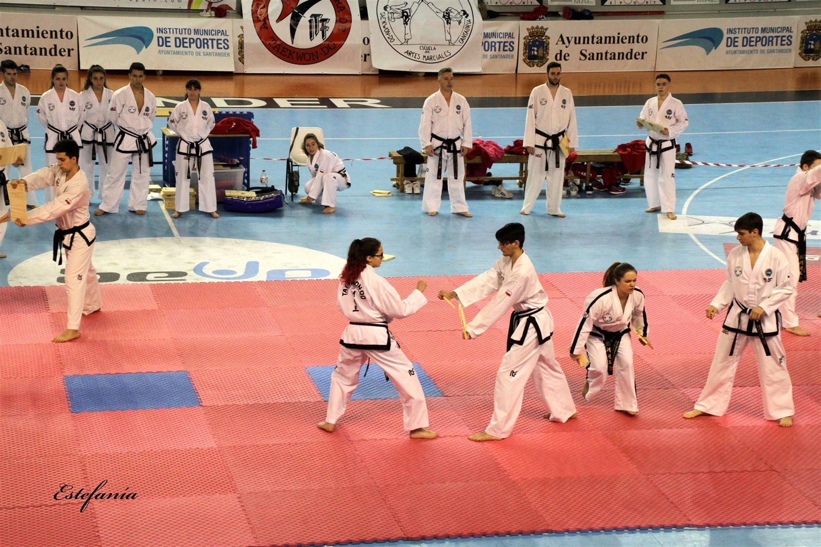Taekwondo (218).jpg